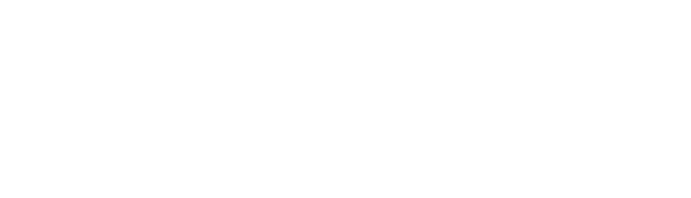 Rochester-logo